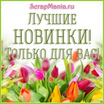 Удивляем и шокируем! Огромное количество новинок!