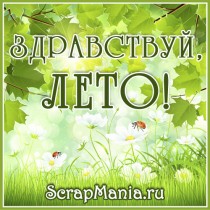 Разыграли подарки!
