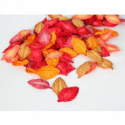 Набор листьев розы "Осенний микс", 20 шт (Craft)