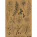 Набор бумаги 29,7х30,5 см "Chronicle of botany", 12 листов (SpringScrap)