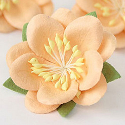 Цветок сакуры "Персиковый" (Craft)