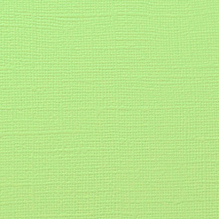 Кардсток Bazzill Basics 30,5х30,5 см однотонный с текстурой холста, цвет пастельный зеленый