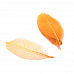 Скелетированные листья "Оранжевые", 10 шт (Fleur-design)