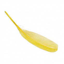 Набор перьев "Гусиные. Желтые" (Knorr Prandell)