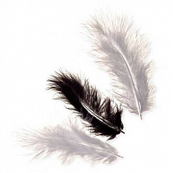 Набор перьев "Марабу. Оттенки черного" (Knorr Prandell)
