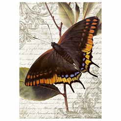 Тканевая карточка мини "Красота природы. Благородство бабочки" (ScrapMania)