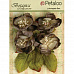 Набор объемных цветов "Botanica Blooms. Charcoal" (Petaloo)