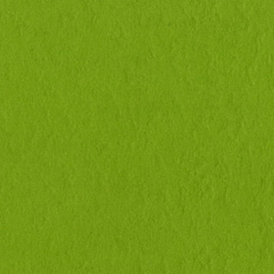 Кардсток Bazzill Basics 30,5х30,5  см однотонный с текстурой апельсиновой кожуры, цвет ярко-зеленый