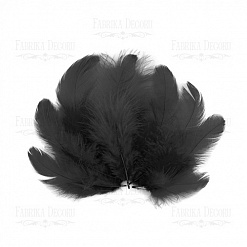 Набор перьев "Мини. Черные" (Фабрика Декору)