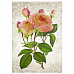 Тканевая карточка мини "Цветочный фейерверк. Садовая роза" (ScrapMania)