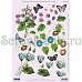 Аппликация бумажная вырубная "Цветы и бабочки", А4 (Reddy)