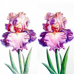 Набор акварельных карандашей Mondeluz, 6 цветов (Koh-I-Noor)