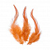 Набор перьев "Петух. Красно-коричневые" (Knorr Prandell)