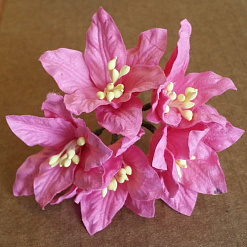 Букет лилий "Ярко-розовые", 5 шт (Fleur-design)