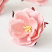 Цветок дикой розы "Розово-персиковый светлый", 1 шт (Craft)