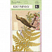 Набор открыток с конвертами "Флора и фауна" (K&Company)