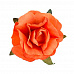 Букет роз "Оранжевое настроение" (Mr.Painter)