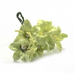 Букет маленьких лилий "Светло-зеленые" (Fleur-design)