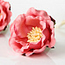 Цветок полиантовой розы "Розово-персиковый темный", 1 шт (Craft)