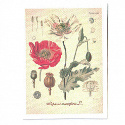 Тканевая карточка "Ботаника - мак" (SV)