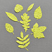 Набор вырубок из бумаги "Опавшие листья", цвет желто-зеленый (ScrapMania)