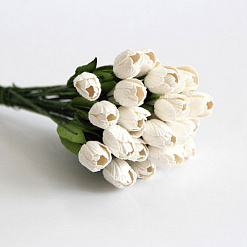 Набор тюльпанов "Белый" (Craft)