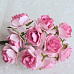 Букет кудрявых роз "Розовые двухтоновые", 10 шт (Craft)