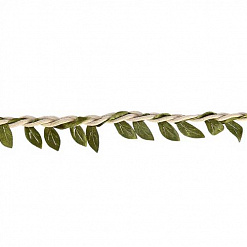 Шнур хлопковый "Листья", ширина 2,7 см, длина 2,5 м