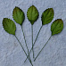 Набор больших листьев розы, цвет зеленый, 10 шт (Impresse)