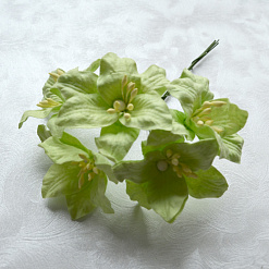 Букет лилий "Нежно-зеленые", 5 шт (Fleur-design)