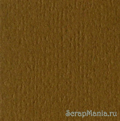 Кардсток Bazzill Basics 30,5х30,5 см однотонный с текстурой апельсиновой кожуры, цвет коричневый