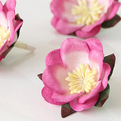 Цветок сакуры "Розовый двухтоновый" (Craft)
