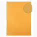 Картон А4 "Жемчужный золотой", плотность 250 гр/м2 (АртУзор)