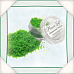 Текстурный состав Flower soft "Сочная зелень" (Shamrock Green)