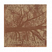Альбом для зарисовок 21х21 см с твердой обложкой "Дерево", 40 листов