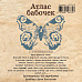 Резиновый штамп "Атлас бабочек. Павлиний глаз" (EcoPaper)