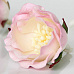 Цветок полиантовой розы "Светло-розовый с белым", 1 шт (Craft)