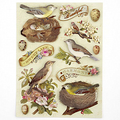 Набор объемных наклеек 11,5х15 см "Флора и фауна. Птицы и листья" (K&Company)