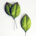 Набор листьев розы на стебельке "Зеленые большие", 20 шт (Craft)
