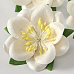 Цветок сакуры "Белый" (Craft)