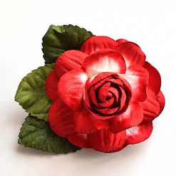 Цветок розы большой "Красный с белым"