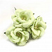 Букет диких роз "Светло-зеленые" (Fleur-design)