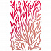 Трафарет 12х20 см "Corals" (Ciao bella)