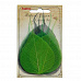 Набор скелетированных листочков из баньяна "Зеленый" (ScrapBerry's)