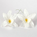 Букет орхидей "Белые", 2 шт (Craft)
