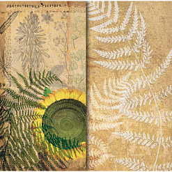 Бумага "Ботанический атлас, подсолнух" (Craft premier)