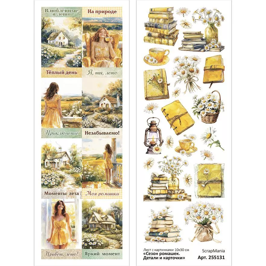 Листскартинками10х30смСезонромашек.Деталиикарточки(ScrapMania)