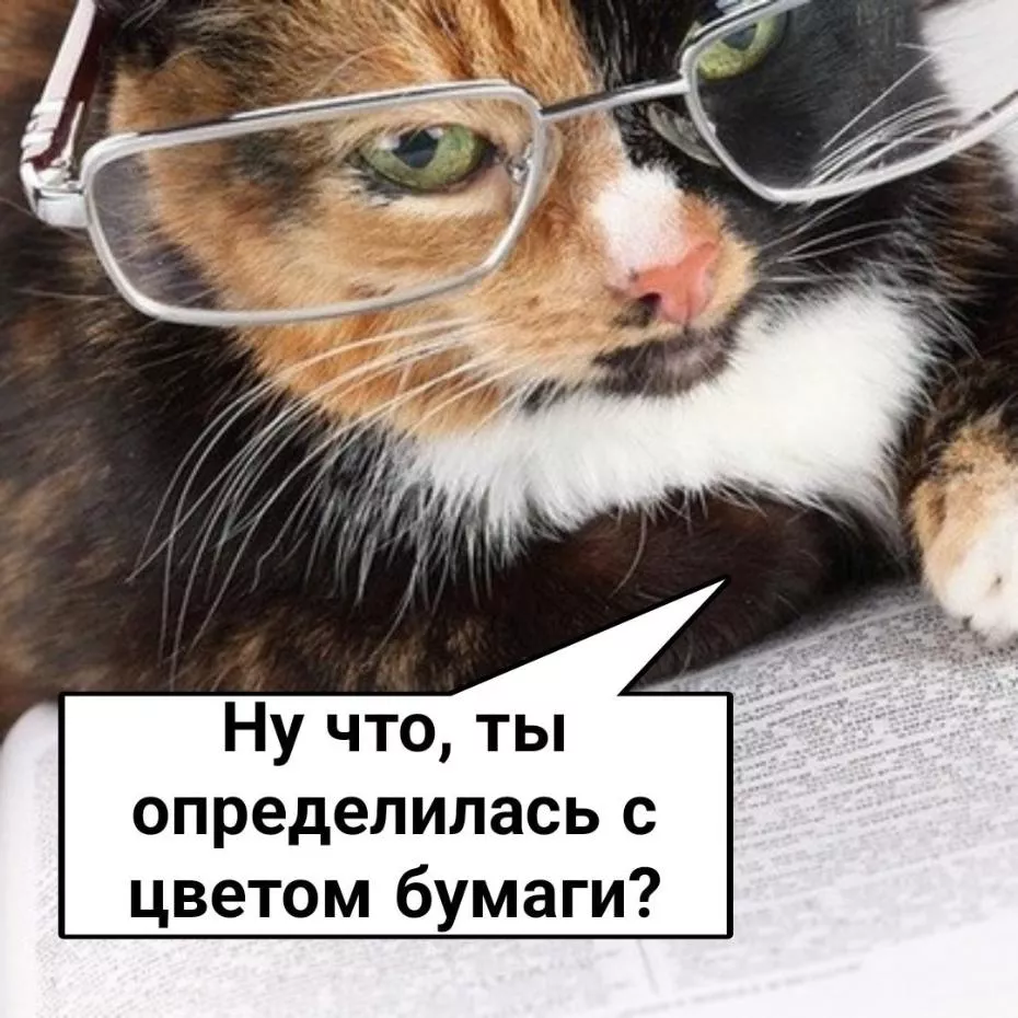 Какой цвет бумаги?