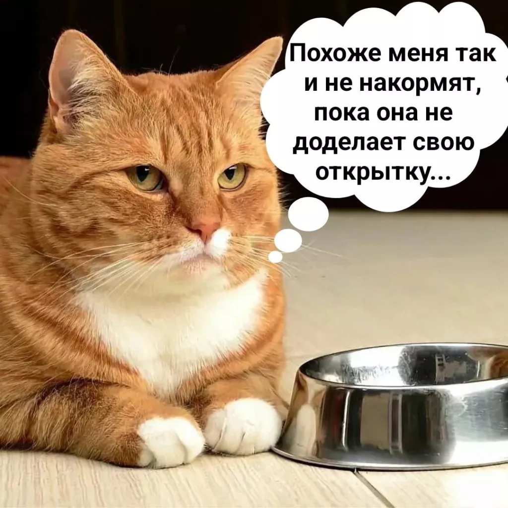 Диета, сколь можно сидеть на диете-мамммм