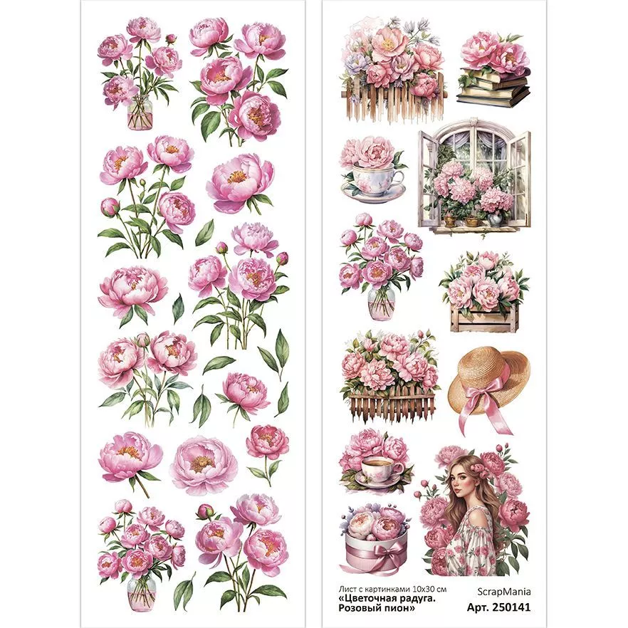 Листскартинками10х30смЦветочнаярадуга.Розовыйпион(ScrapMania)